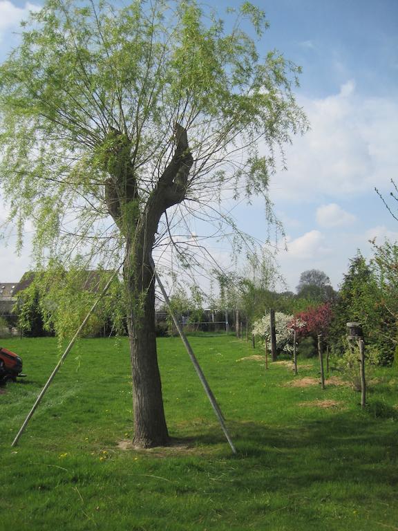 Thallwitz Haus Am Park 아파트 객실 사진